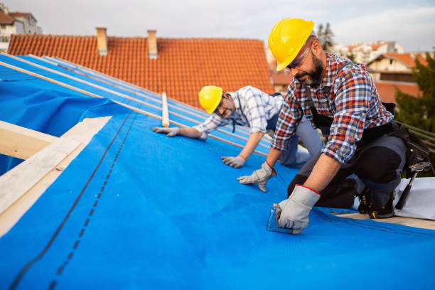 Best Best Roofing Contractors  in Clinton, MI