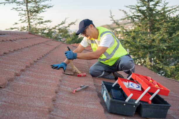 Best Emergency Roof Repair  in Clinton, MI