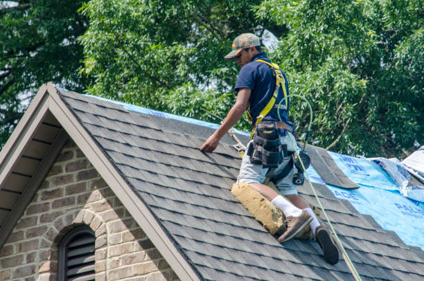 Best Storm Damage Roof Repair  in Clinton, MI
